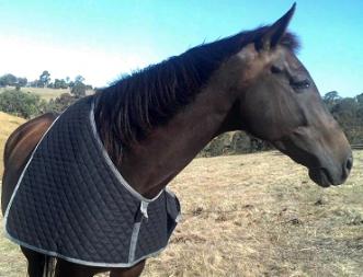 Showcraft Quilted Rug Bib