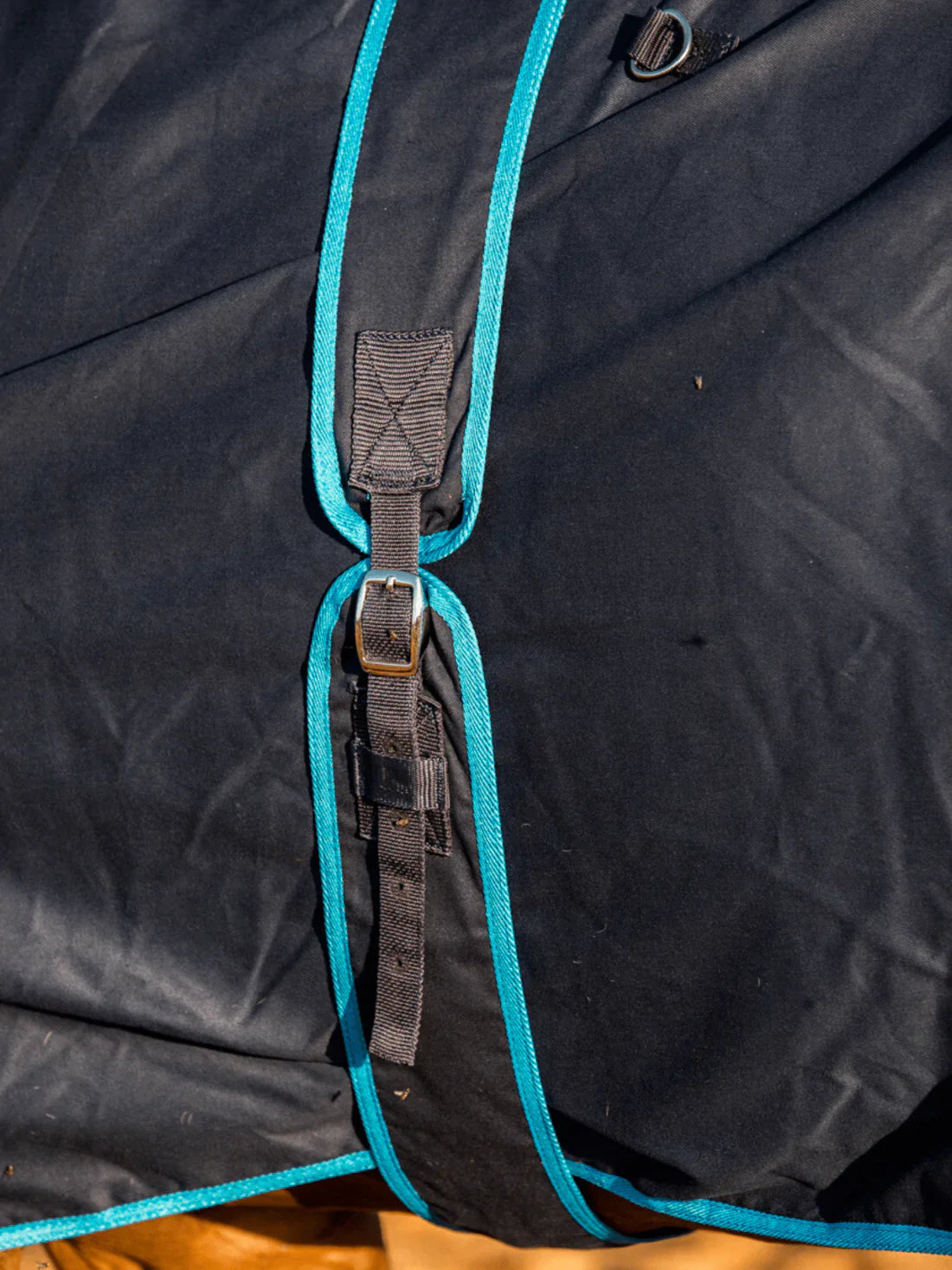 Earlwood Cotton Show Rug and Tail Bag