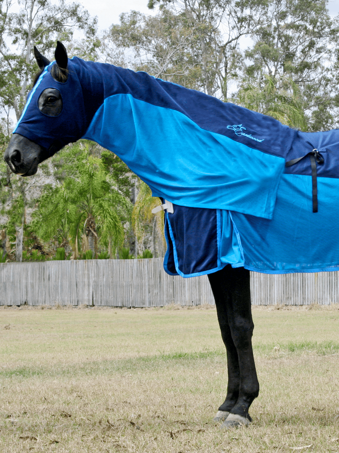 Earlwood Mesh Insert Zip Up Hood - Navy/Sky Blue