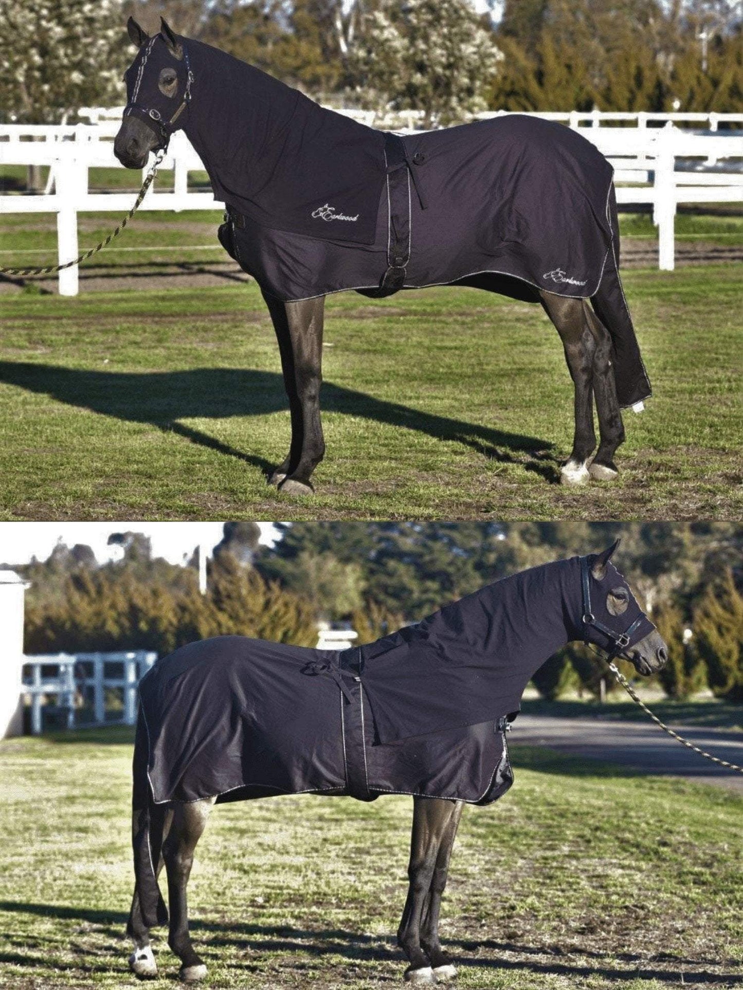 Earlwood Cotton Show Rug and Tail Bag