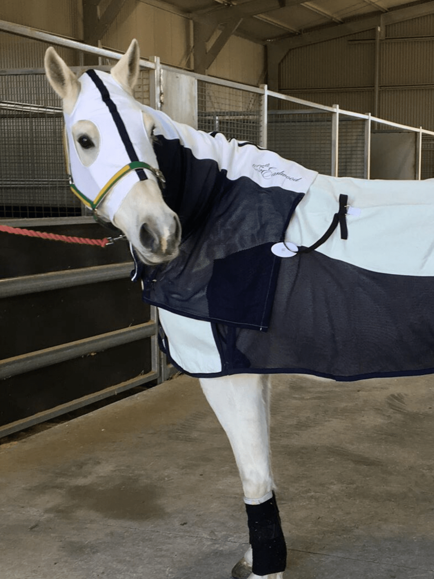 Earlwood Mesh Insert Zip Up Hood - White/Navy