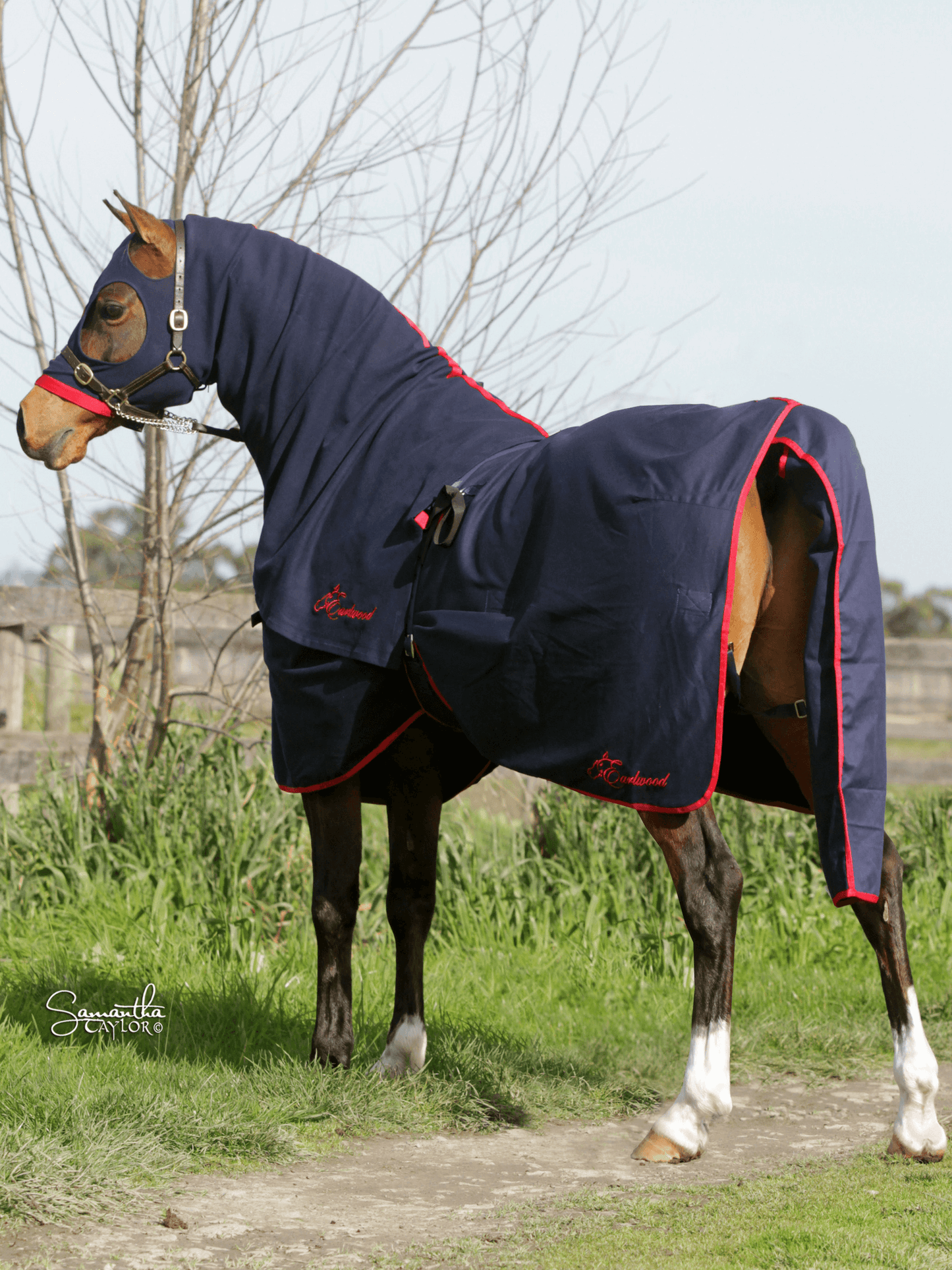 Earlwood Cotton Show Rug and Tail Bag