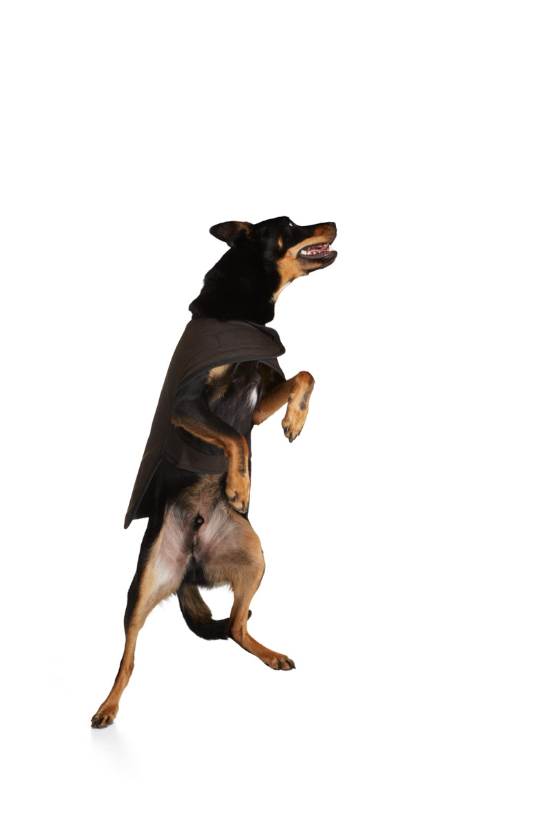 Oilskin Dog Coat