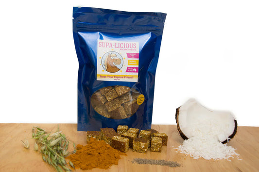 Horse Treats - Tumeric and Coconut