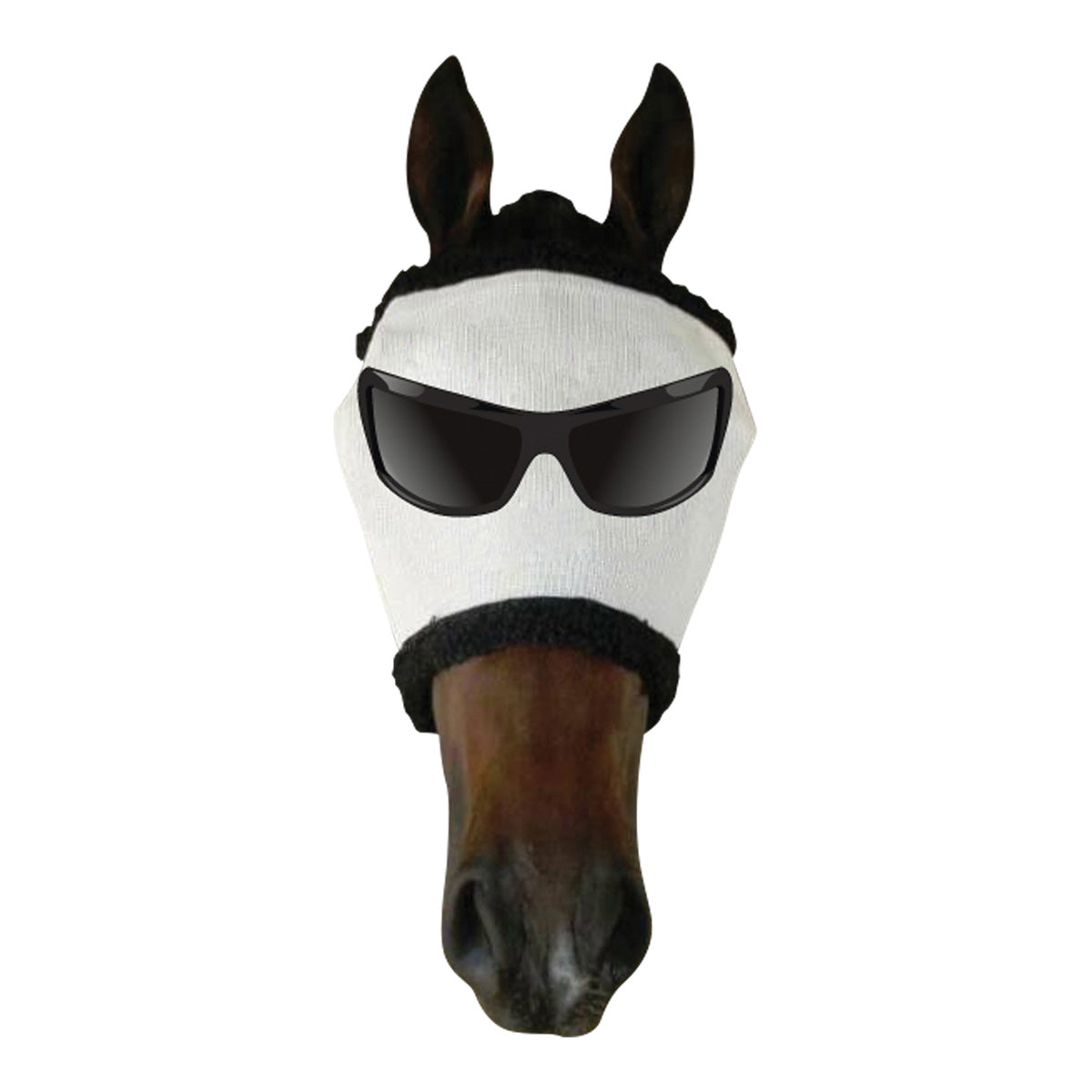 Fly mask with sunglasses