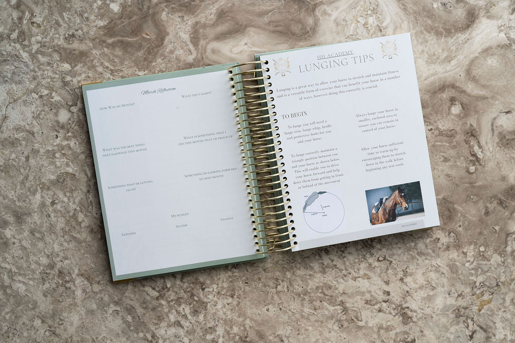2025 Diary and Training Ideas Planner