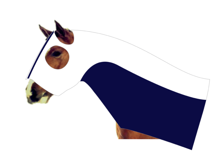 Earlwood Mesh Insert Zip Up Hood - White/Navy