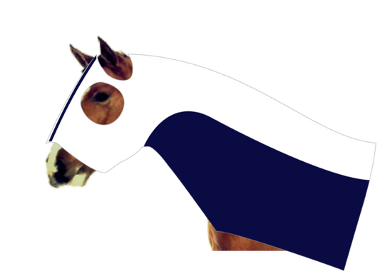 Earlwood Mesh Insert Zip Up Hood - White/Navy