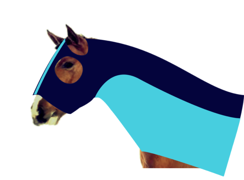 Earlwood Mesh Insert Zip Up Hood - Navy/Sky Blue