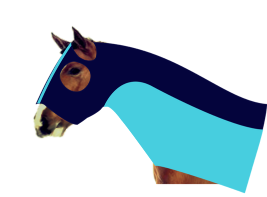 Earlwood Mesh Insert Zip Up Hood - Navy/Sky Blue