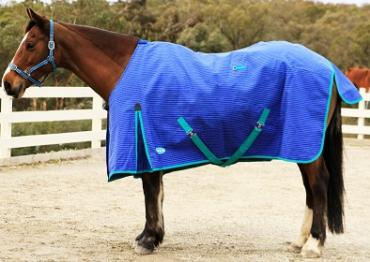 Showcraft Canvas Ripstop Rug