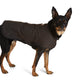 Oilskin Dog Coat