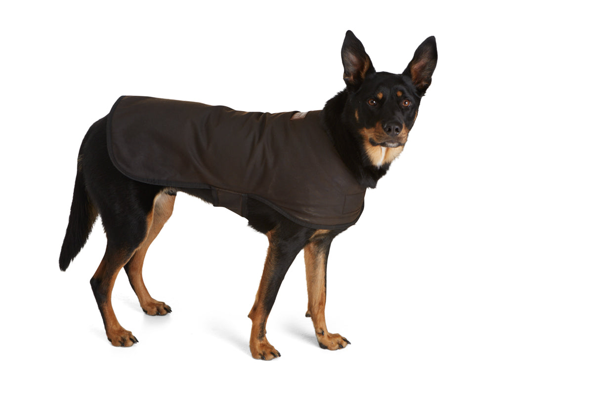 Oilskin Dog Coat