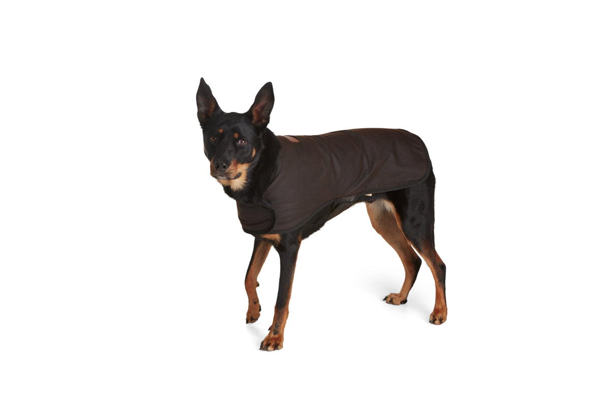 Oilskin Dog Coat