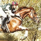 Private Tuition - Melinda Waterhouse