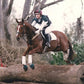 Private Tuition - Melinda Waterhouse